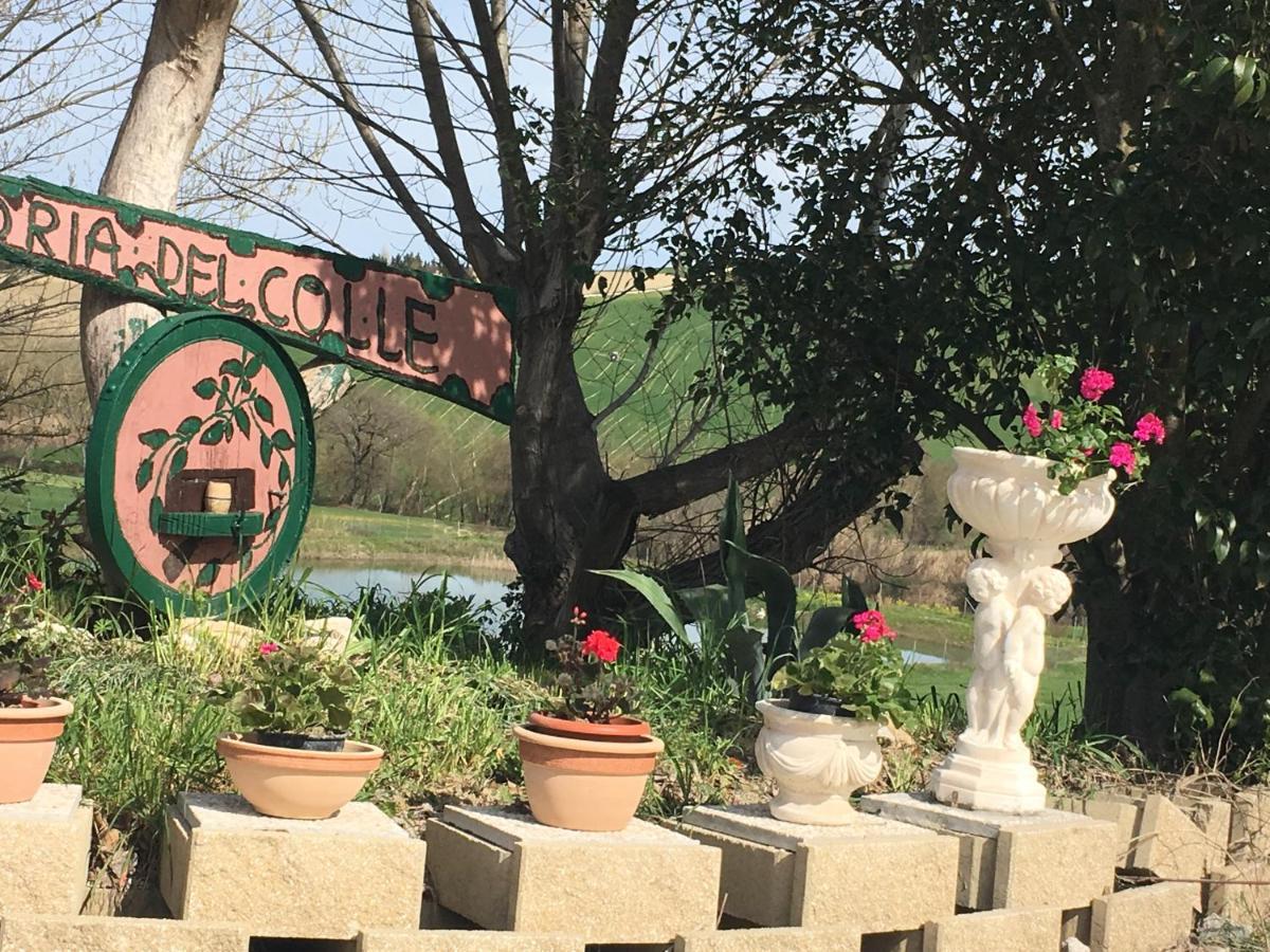 Agriturismo Fattoria Del Colle Iesi Exterior foto