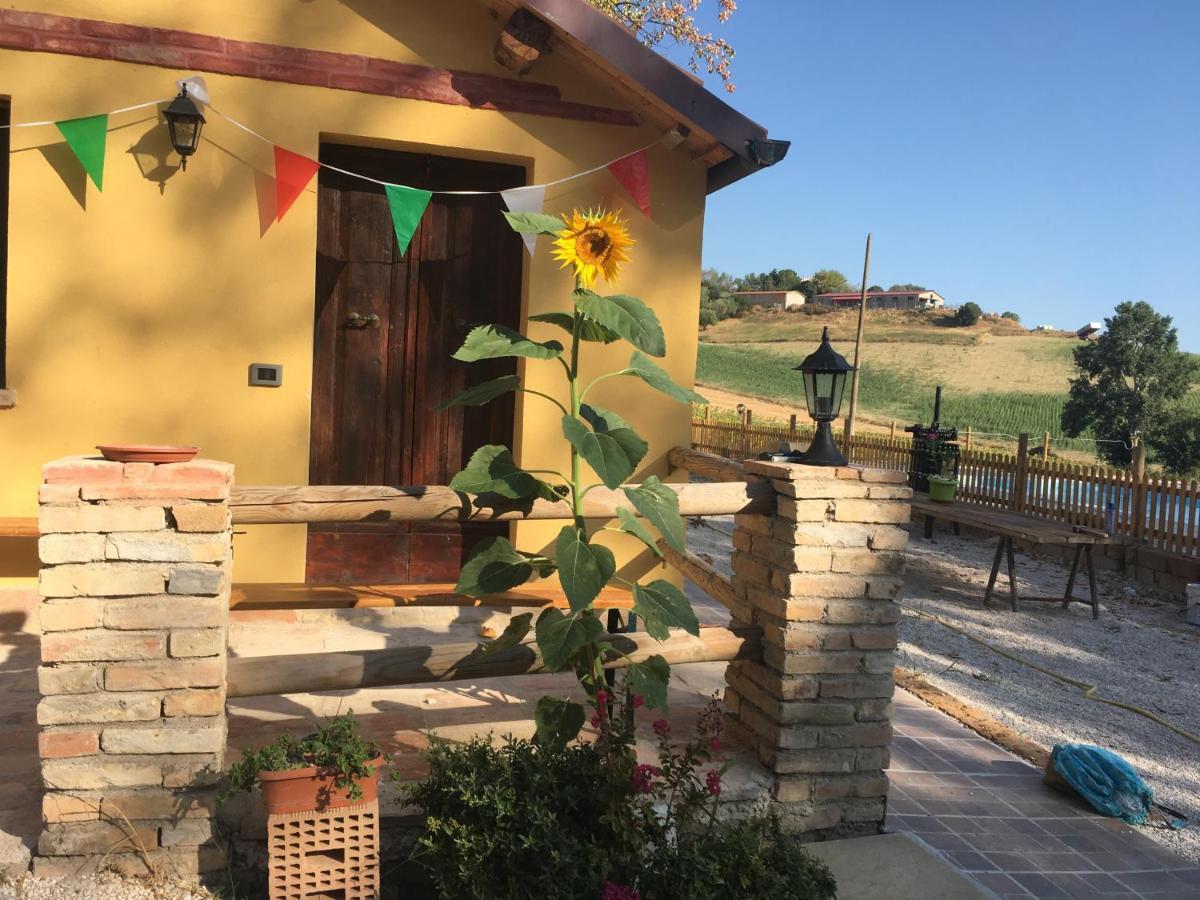 Agriturismo Fattoria Del Colle Iesi Exterior foto