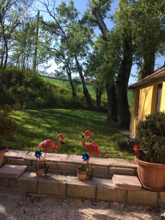 Agriturismo Fattoria Del Colle Iesi Exterior foto